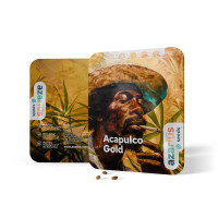 Acapulco Gold feminisierte Cannabissamen von Azarius