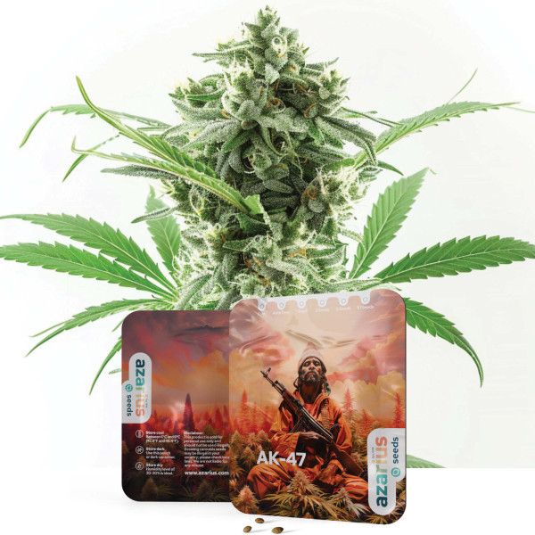 AK-47 – Cannabissamen von Azarius Seeds