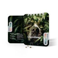 Chemdawg | Cannabissamen von Azarius