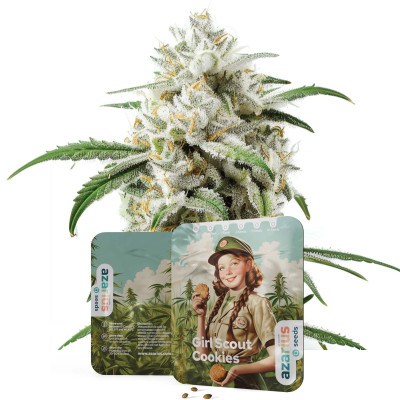 Girl Scout Cookies | Cannabissamen von Azarius