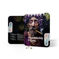 Granddaddy Purple | Cannabissamen von Azarius