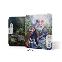 Jack Herer | Cannabissamen von Azarius