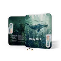 Moby Dick | Cannabissamen von Azarius