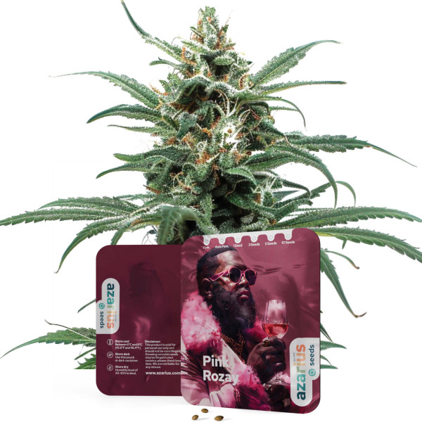 Pink Rozay | Cannabissamen von Azarius