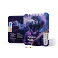 Purple Haze | Cannabissamen von Azarius