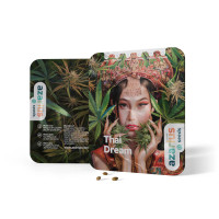 Thai Dream feminisierte Cannabissamen von Azarius